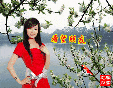  你好打招呼表情包,漂亮的美女早上好问候,不用打字表情说话