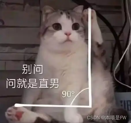  小猫猫大课堂3之字符串,转义字符,注释,选择和循环语句,函数等小概括csdn博客