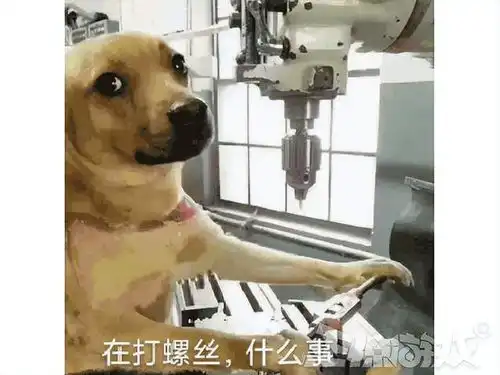  暴雪主播要失业了百万人气博主转行送外卖,女主播开始玩原神