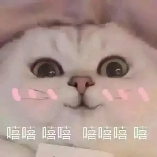  awm绝地求生伪全员角色分析篇