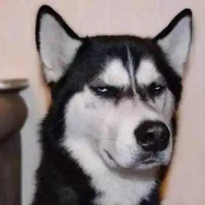  年轻人不讲武德,where11是什么鬼