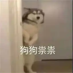  抽奖结果公布你好像又中奖了