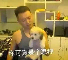  犒劳自己的理由千千万每日轻松一刻12月14日晚间版