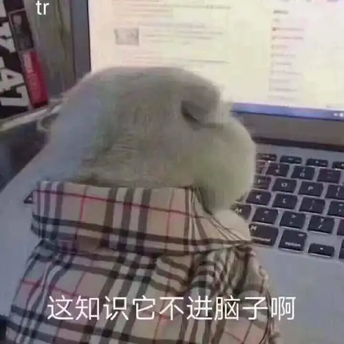  我的收藏