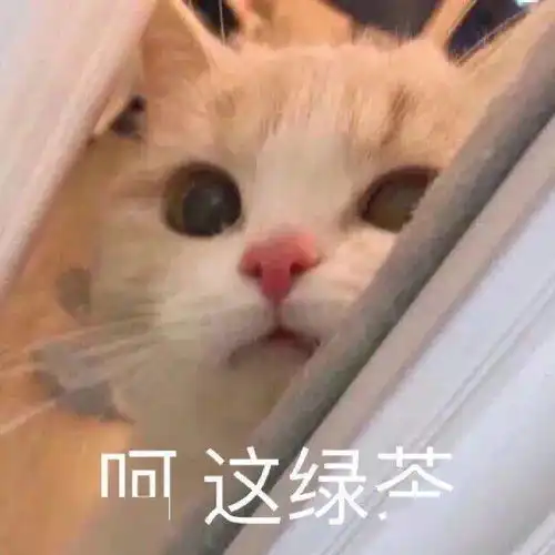 沙雕狗子表情包被点名