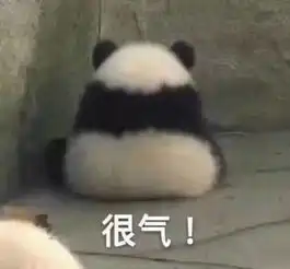  哈哈哈,看熊猫滚滚摔跤看到沉迷熊猫一天到底要摔多少个跟头