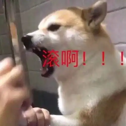 宝贝好棒表情包等你