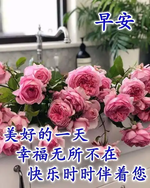  八月周日早上好表情祝福语最新版让你悟透人生精辟早安句子