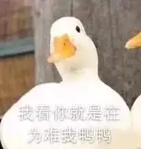  可爱鸭鸭表情包宝贝,入我怀