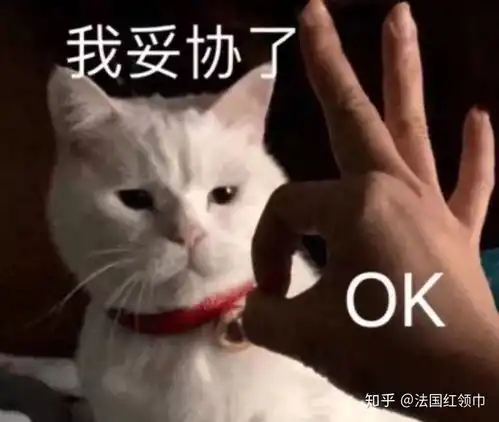  我听过最扯的话,就是在法国本土申请高商更简单...