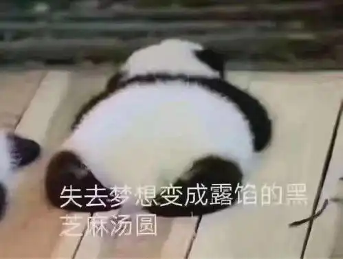  小姐姐,一起玩吗