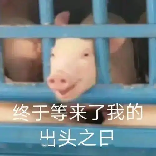  猪肉价格连续下跌,你经常去的小吃饭店降价了吗