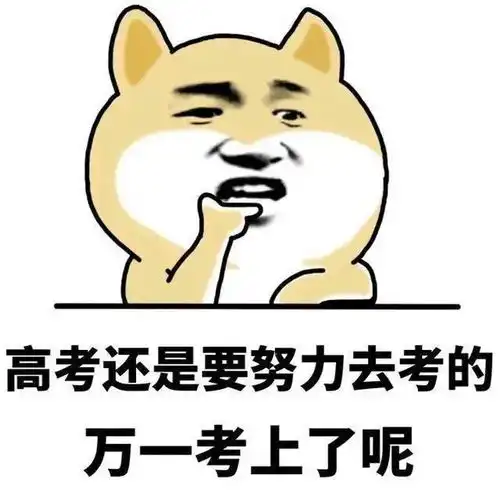  高考解压别焦虑了,点进来轻松一下