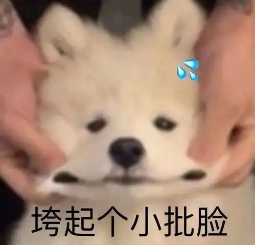 柴犬斜视表情包金桂