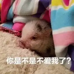  只属于小仙女的壁纸和猪猪表情包