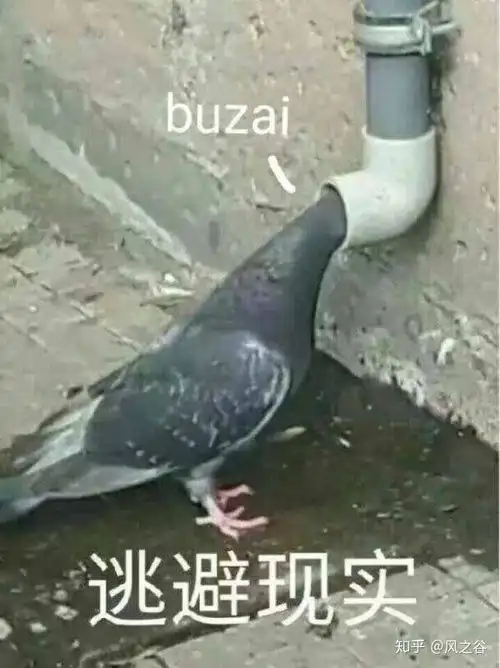  几百乃至上千的电风扇都是什么人在买
