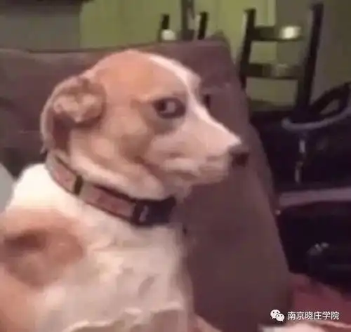  雾大得让我想起了曾经在天庭的日子