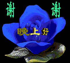  最美晚上好问候语动态表情图片