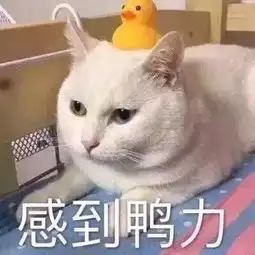 沙雕表情包大合集,相信总有一款适合你