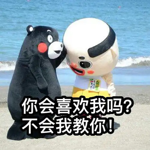  动漫表情包精选你会喜欢我吗不会我教你