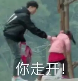  变形记丽姐表情包完整版