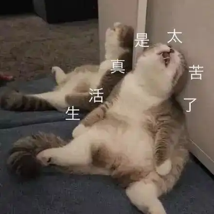  延禧攻略宫斗段位大排行,高贵妃竟然只能算黄金