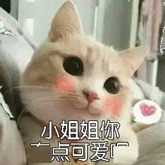  10款小众防晒霜测评,最大的黑马竟然不到一百块