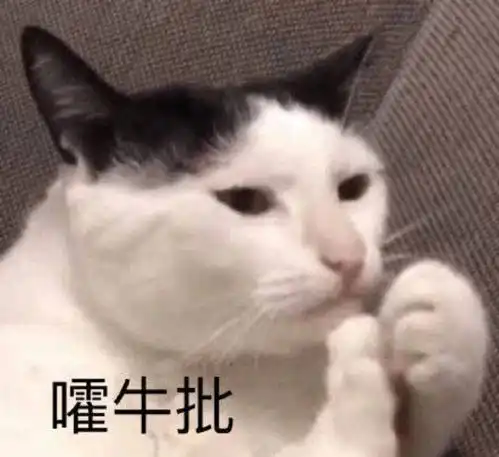  聊天用沙雕猫猫狗狗表情包