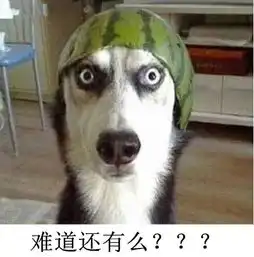  义乌祥马双12双12限量抢车惠开启倒计时_义乌祥马汽车新闻资讯-汽车之家