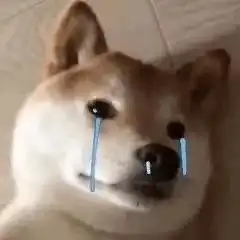  笑掉大牙妈妈为了请假可以有多拼哈哈哈哈哈哈哈人给我笑没了