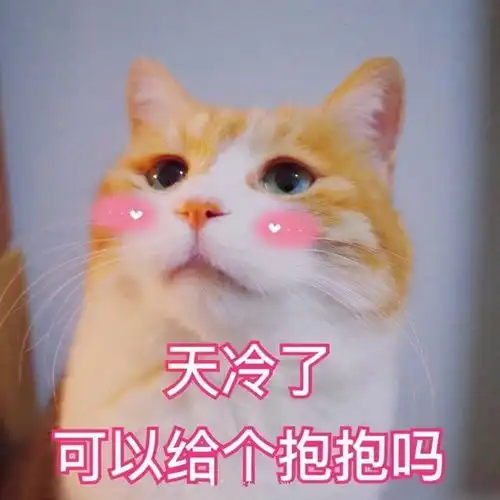 出来玩表情包可爱