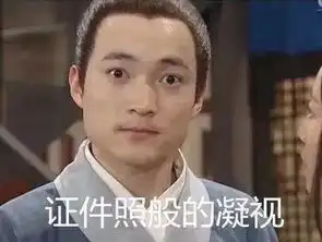 表情包外国人说这是中国的第五大发明 表情包外国人说这是中国的第五大发明