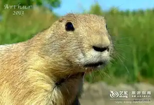 阿姆斯特丹运河风情画