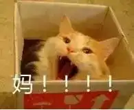  号外号外丰润人注意了,这些事将关系到你的钱包