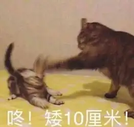  不够沙雕的沙雕表情包你真是一个又皮又欠揍的可爱女孩