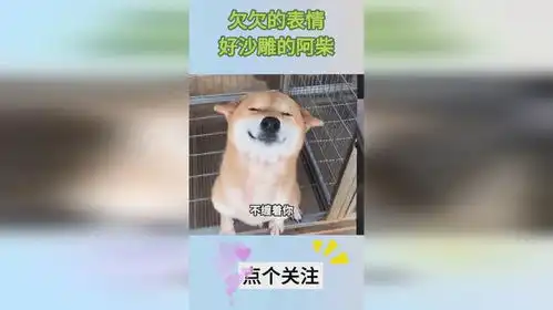  欠欠的表情,好沙雕的阿柴