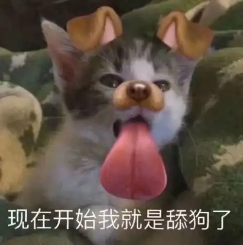  今日的快乐源泉,请查收11.26