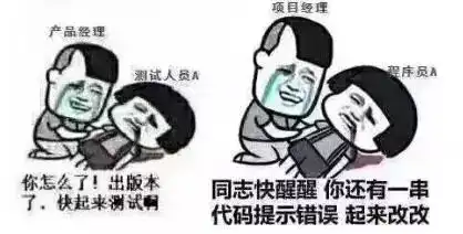  软件项目周期爆笑表情包版
