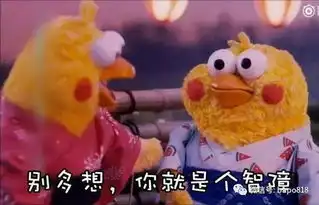  孙楠女儿买宝瑶上女德班居然是亲妈买红妹同意的