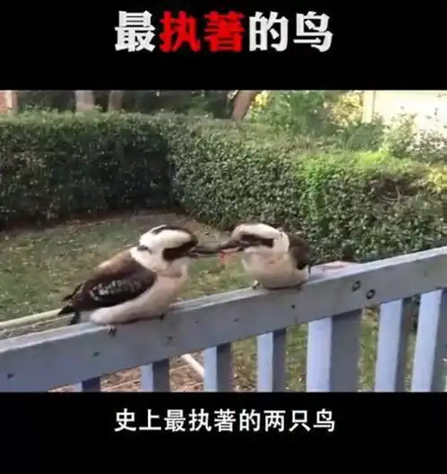 不蒸馒头争口气争口气啥也不好使 不蒸馒头争口气争口气啥也不好使