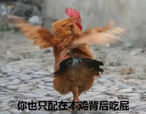  中国吃鸡哪家强