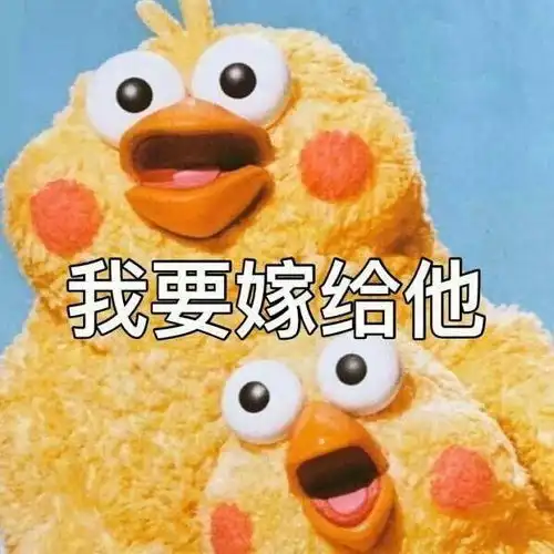  婚礼都要准备什么啊喂