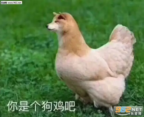  你说你马呢表情包我的马鸭表情包下载乐游网游戏下载