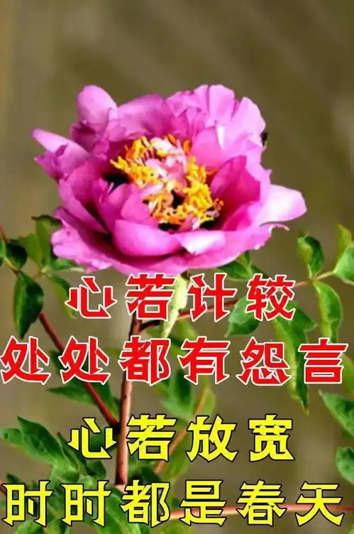 早上好表情包可爱问候