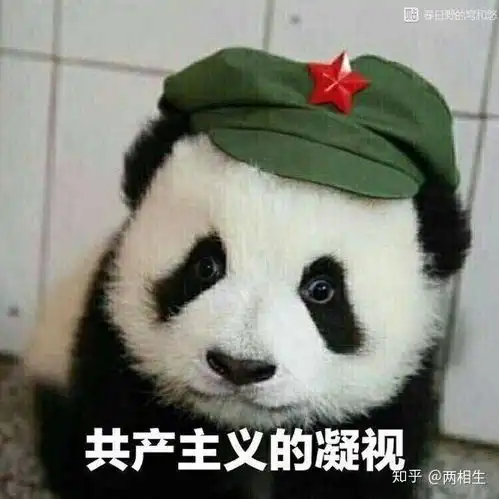 熊猫写字表情包原图因为