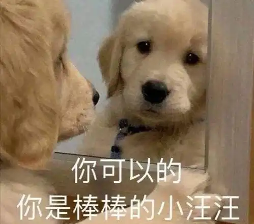 沙雕狗子表情包多喝热水