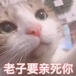  给女朋友发什么表情包合适