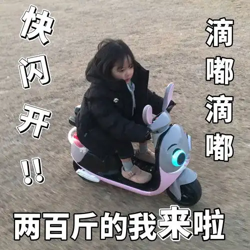  有报过体态大师私人课程的鹅吗