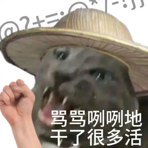  啊我这竹篮打水的爆款人生搞笑表情包合集