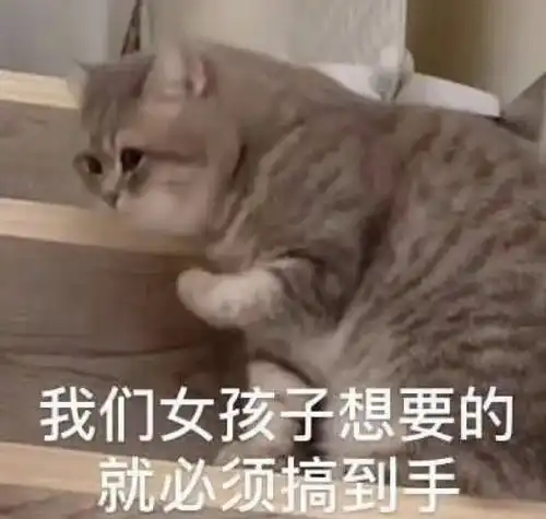 menherachan酱表情包脑